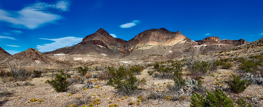 Texas desert landscape